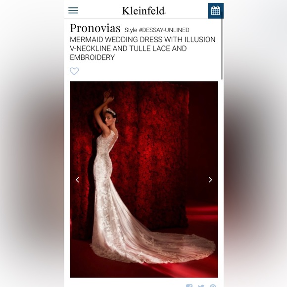 Pronovias DESSAY - Picture 10 of 16